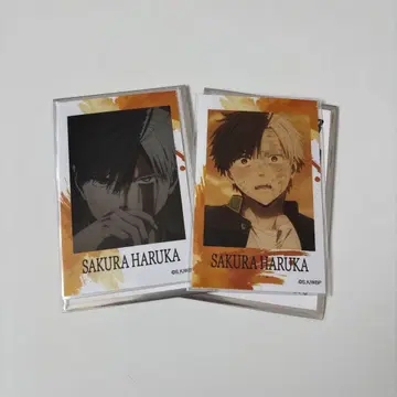 WIND BREAKER 윈브레이크 TSUTAYA 벚꽃 하야