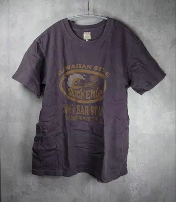 BARNS Outfitters 하와이안 스타일 티셔츠 38