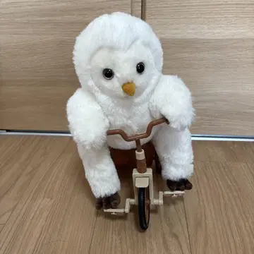 자전거 올빼미