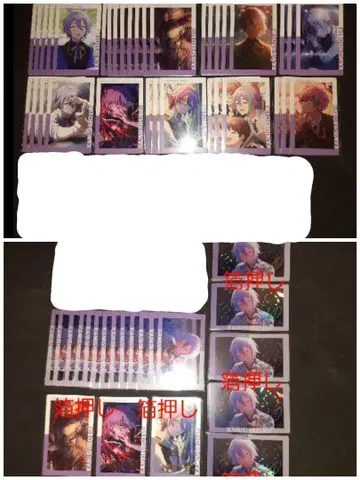 프로세카 에피카 카미시로 루이 15B
