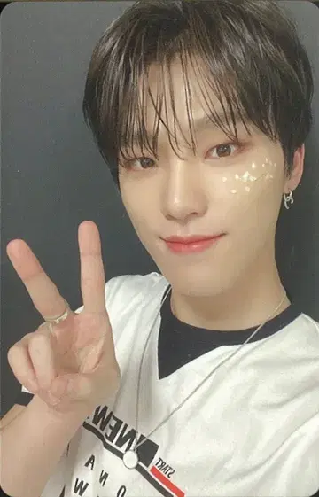 SEVENTEEN 초회 한정판 A DINO 춤추듯 떨어지는 꽃잎