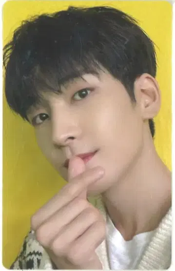 세븐틴 Weverse WONWOO 아이노치카라