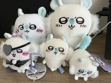 모몽가 세트 5개