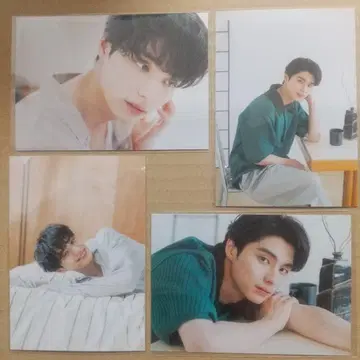 혼다 코야 팬미팅 랜덤 브로마이드 4장