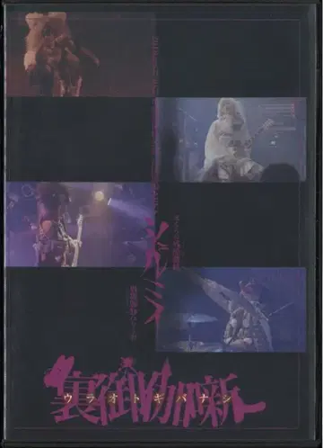 쉘미 DVD 뒷이야기