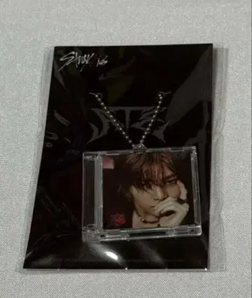 Straykids ATE POPUP 미니 CD 키링 아이엔
