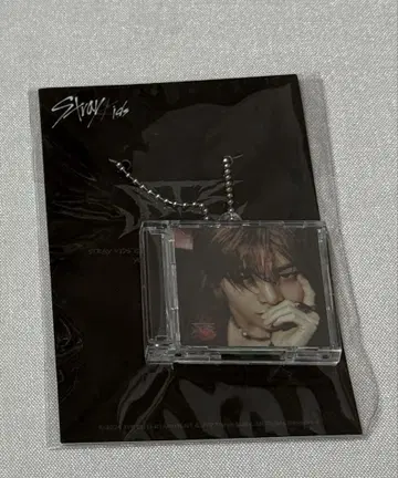 Straykids ATE POPUP 미니 CD 키링 아이엔