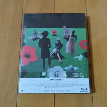 관심 영역 ('23 미국/영국/폴란드)