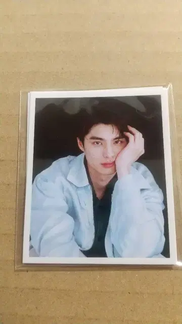 혼다 코야 팬 미팅 미니 사진 4장 세트