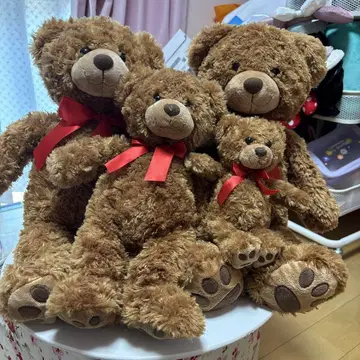 테디 페어 4명 사이즈 차이