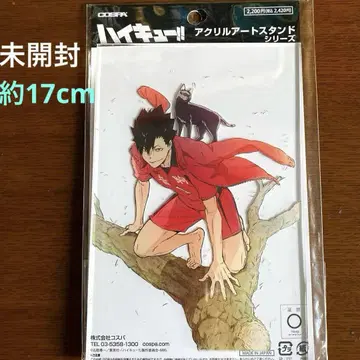 하이큐 쿠로오 테츠로 약 17cm 아크릴 스탠드
