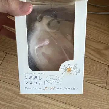지압 마스코트, 탄력 있는 고슴도치