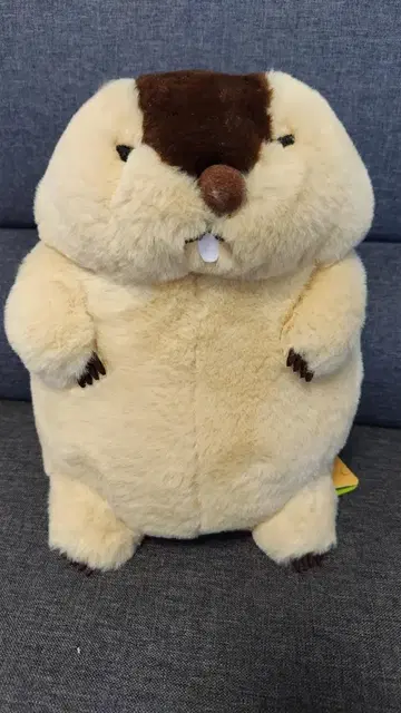 마모트의 모토토 봉제 인형