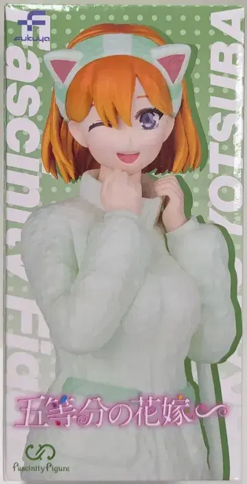 후쿠야 fascinity figure 나카노 네잎 고양이 귀 후드티