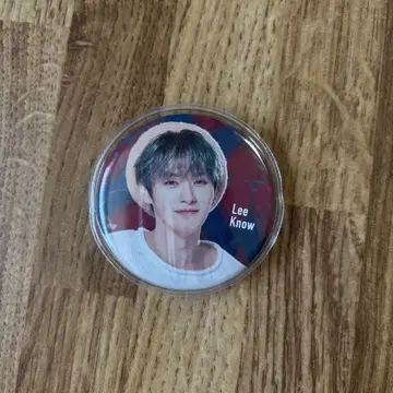straykids 리노 hi-stay 캔뱃지