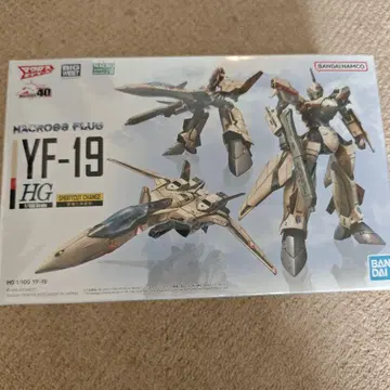 HF6834 미조립 HG 1/100 YF-19 교체 3단 변형