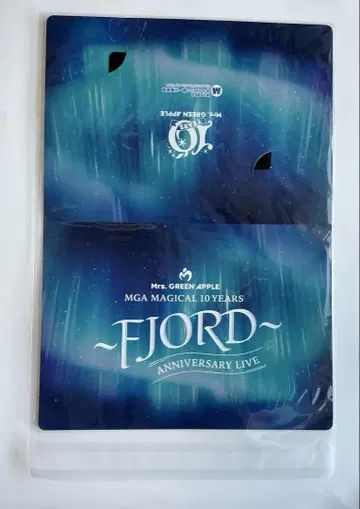 FJORD ANNIVERSARY LIVE 팜플렛 미세스 피요르드