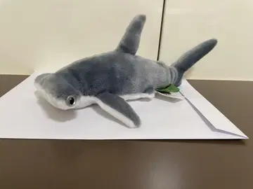 슐모쿠자메(와일드 리퍼블릭)