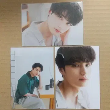 혼다 코야 팬미팅 랜덤 브로마이드 3장