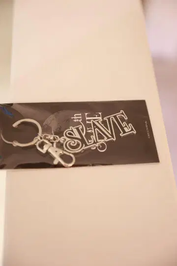 LUNA SEA SLAVE 한정판 실버 키링