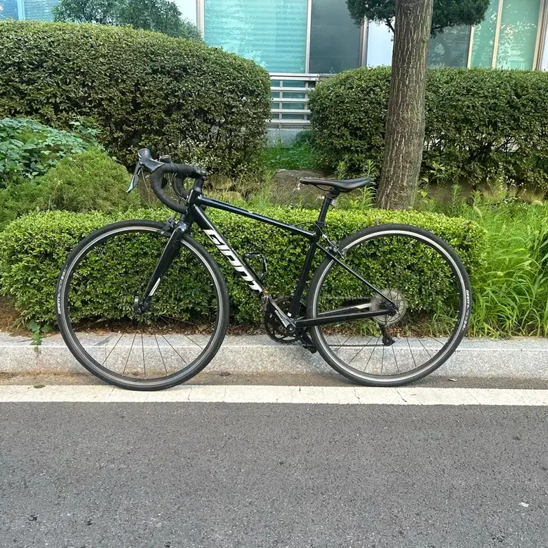 자이언트 cotend 3 로드