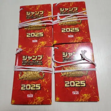 빅토리 카니발 2025 여권 4종 세트