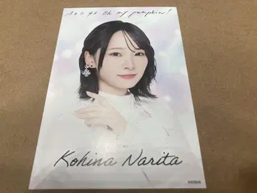 나리타 카나 히나 AKB48 66th SPECIAL 복권 오리지널 카드