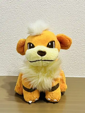 포켓몬 캔버스 가디 봉제 인형