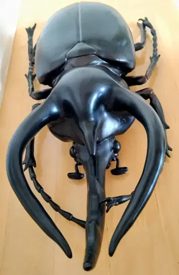 코카서스 오오카부토 곤충 피규어 BIG MEGA 큰 생물