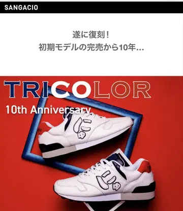트리코롤 10주년 기념 모델 24.5cm