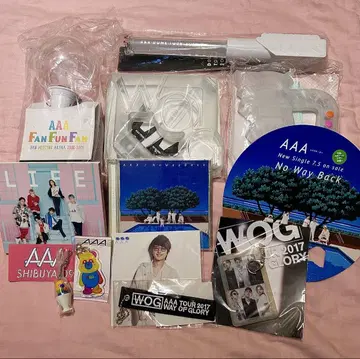 AAA 펜라이트 세트