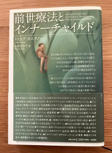 전생 치료와 이너 차일드