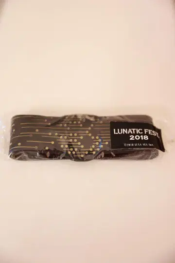 LUNATIC FEST 2018 러버 밴드