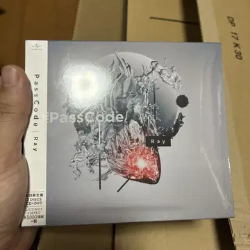 Ray passcode 포스터 포함
