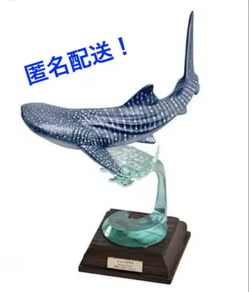 해양 I 특장판 징베