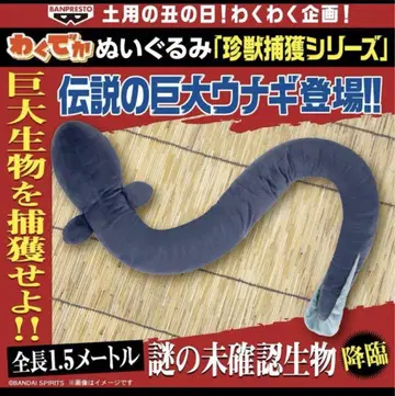 와쿠데카 우나기 봉제 인형