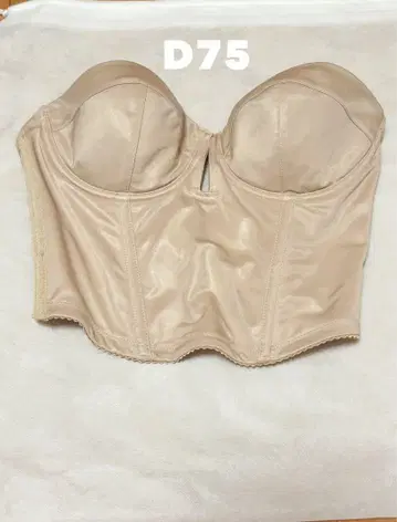 THE TREAT DRESSING 숏 뷔스티에 D75 로얄 베이지