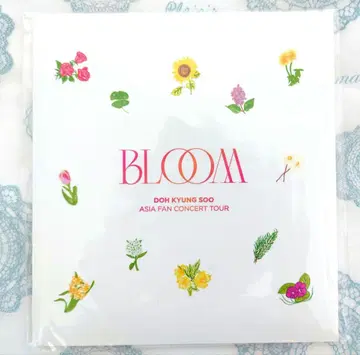 도경수 BLOOM 투어 스카프