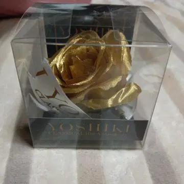 YOSHIKI CLASSICAL 10th 코사지