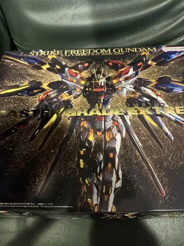 MGEX 1/100 ZGMF-X20A 스트라이크 프리덤 건담