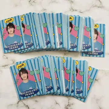 소년 닌자 B&ZAI 이나바 미치하루 프로필 카드 프로필 카드 프로카