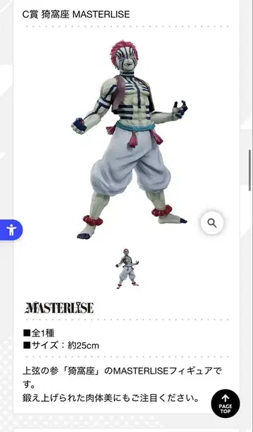 MASTERLIZE 아카자 C상