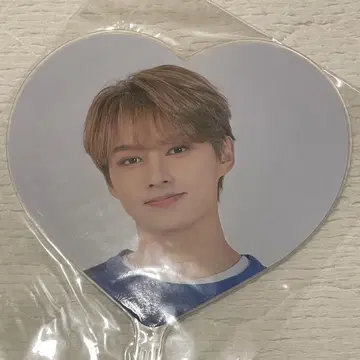 SEVENTEEN 세부치 팬미팅 carat land 준 부채