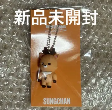 RIIZE 성찬 SUNGCHAN 러버 키링 미개봉 새상품