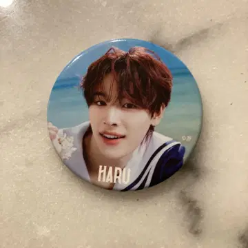 HARU 핀 배지 & PIEZY 키링 세트