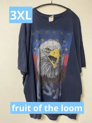 프룻 오브 더 룸 남성용 3XL 빅 티셔츠