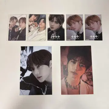 txt 봄규 세트