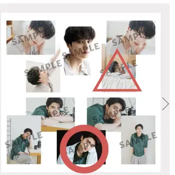 혼다 코야 팬미팅 2025 랜덤 프로마이드