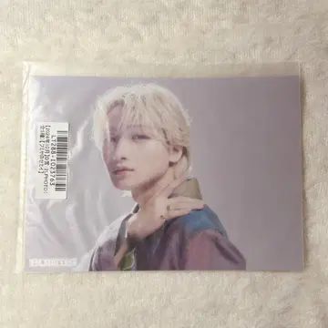 BUDDiiS FUMIYA 생일 스크래치
