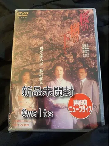 벚꽃 나무 아래에서 [DVD]
